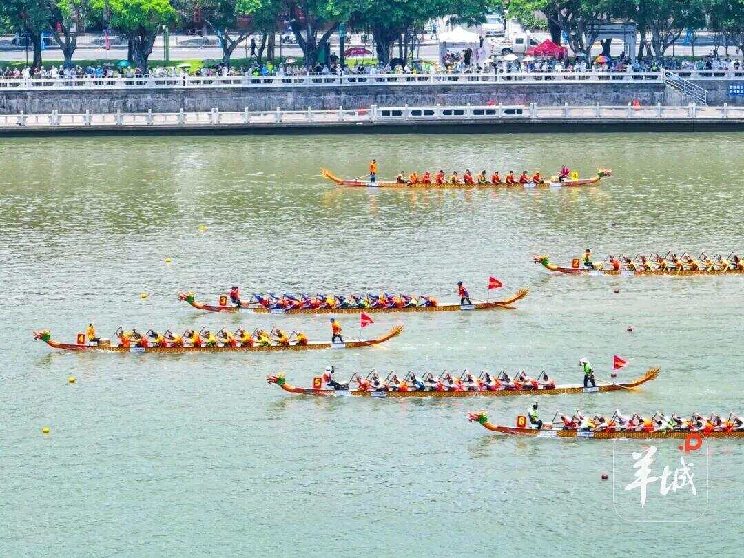  斗门龙舟赛（资料图）