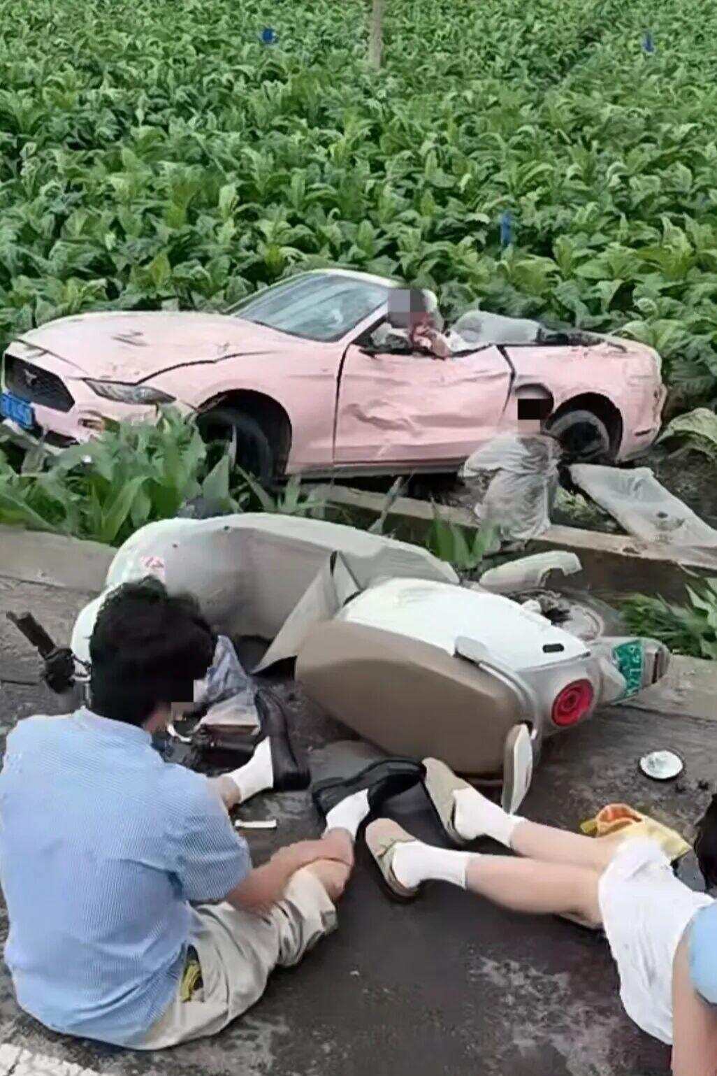 网络截图 网络截图