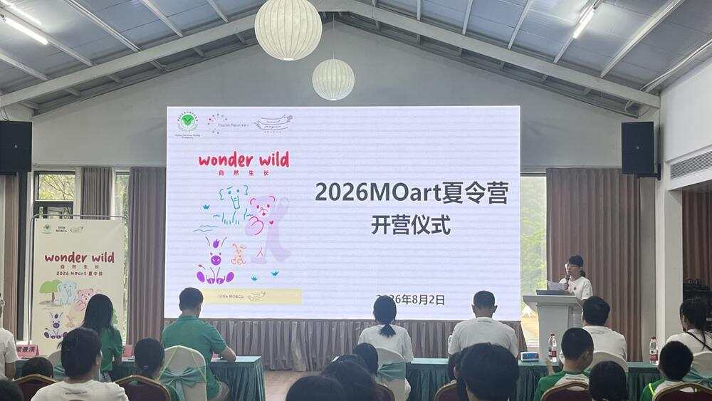 夏令营开营仪式 夏令营开营仪式