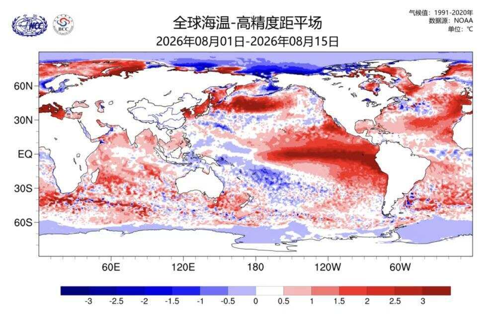 2026年8月1日至15日，全球海温—高精度距平场。国家气候中心制图