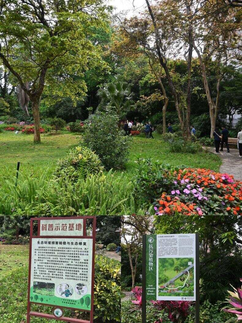 华南植物园生态环境损害赔偿与生态修复科普示范基地 华南植物园生态环境损害赔偿与生态修复科普示范基地