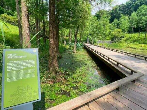 云溪植物园泮塘五秀实地生态修复展示区 云溪植物园泮塘五秀实地生态修复展示区